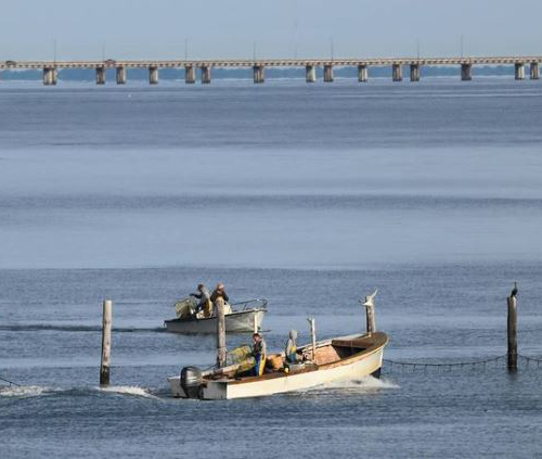 working watermen